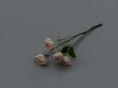 獨(dú)一無(wú)二的朋友圈說(shuō)說(shuō) 很少見特別的句子