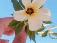 文藝經(jīng)典句子帶圖片 再難也要堅(jiān)持再苦也要微笑