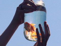 2018發(fā)朋友圈的精辟心情說(shuō)說(shuō)帶圖片 朋友圈轉(zhuǎn)發(fā)過(guò)萬(wàn)的說(shuō)說(shuō)配圖