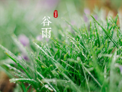 2019谷雨朋友圈說(shuō)說(shuō)配圖 谷雨節(jié)發(fā)朋友圈的說(shuō)說(shuō)優(yōu)美