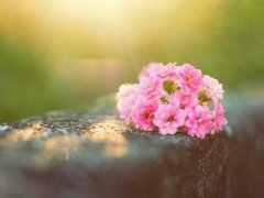 帶圖片的經(jīng)典說說：我們都曾不堪一擊，但時間讓我們刀槍不入