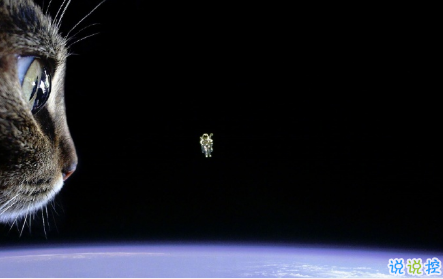 qq空間郁悶說說配圖傷感：有時自己也捉摸不透自己7