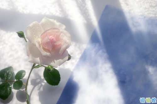 最新有內(nèi)涵的經(jīng)典說說2019 又好聽又勵志的微信經(jīng)典說說1