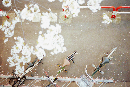 看完哭了的那種憂傷難過的說說 傷感說說配圖1