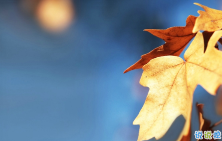 幾米經(jīng)典語錄關(guān)于愛情說說帶圖片：當(dāng)我想你的時候，你會不會也剛好正在想我16