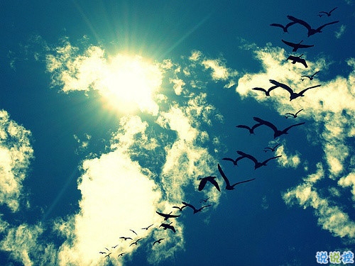 女生個(gè)性說說經(jīng)典霸氣帶圖片 知道自己不討喜那就乖一點(diǎn)5