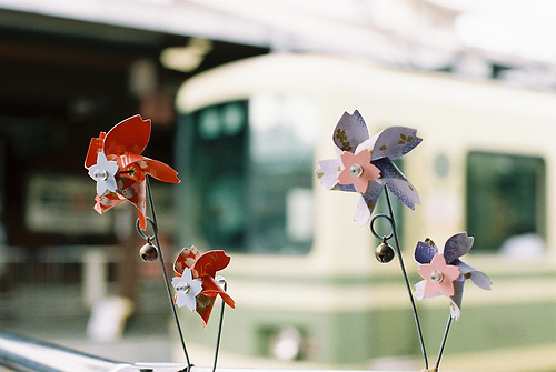 超唯美文藝的說(shuō)說(shuō)帶圖片 你看沒(méi)看見(jiàn)我都盛開(kāi)風(fēng)來(lái)不來(lái)芬芳都在9