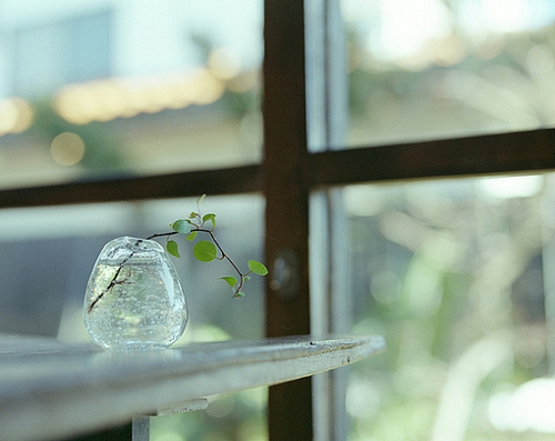 正能量的早安心語(yǔ)寫給有點(diǎn)低落沮喪的你的圖片說(shuō)說(shuō)1