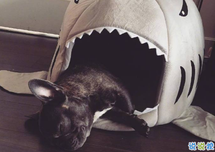 qq空間郁悶說說配圖傷感：有時自己也捉摸不透自己1