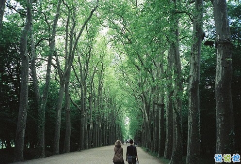 qq說說傷感女生帶絕情配圖 是真的感到心好累說說帶圖片1