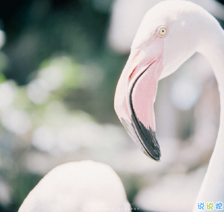 表示無聊的朋友圈說說帶圖片：無聊，是人生的一種正?，F(xiàn)象6