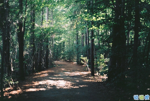 可以發(fā)朋友圈的早安勵志心語大全2018 很經(jīng)典的勵志說說帶圖片6