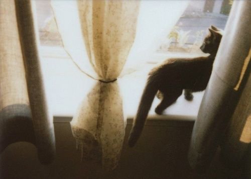 關(guān)于愛情的有些傷感難過的說說帶圖片 遇你之后步步都難走14