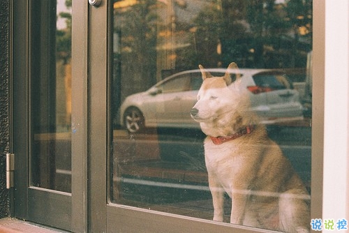 勵志說說致自己的短語2018配圖  很勵志的正能量經(jīng)典說說8