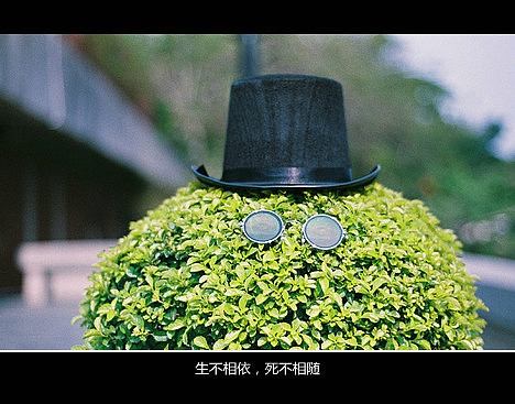 超傷感難過悲傷的愛情說說 你是我枯水年紀(jì)里的一場雨1