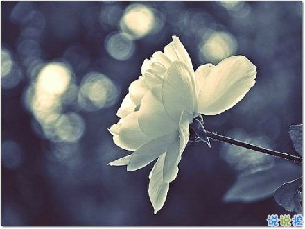 2019新年說說傷感一個人過 新年感到孤獨的傷感說說句子2