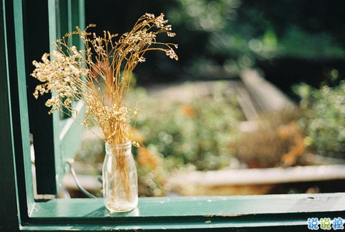 很有哲理的英文個(gè)性說說帶翻譯 有道理的精辟英文說說2