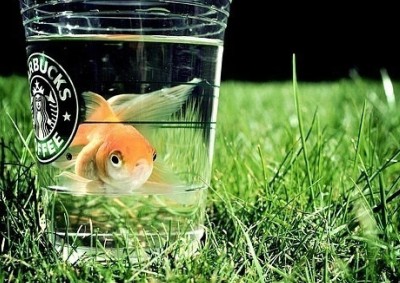 說(shuō)說(shuō)心情短語(yǔ)帶圖片2