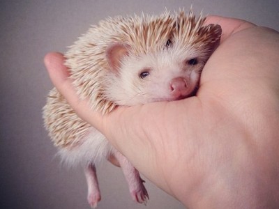 說(shuō)說(shuō)心情短語(yǔ)帶圖片5