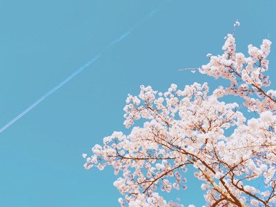 說(shuō)說(shuō)心情短語(yǔ)帶圖片7