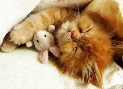 空間傷感說說帶圖3