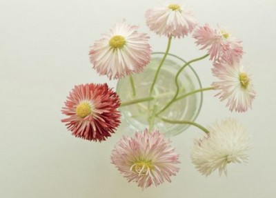 有意境的說說帶圖片6