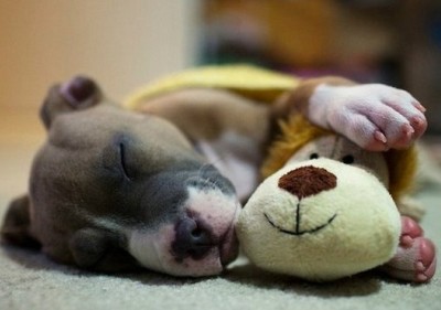 有意境的說說帶圖片7