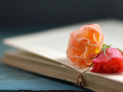 最新說說帶圖片1