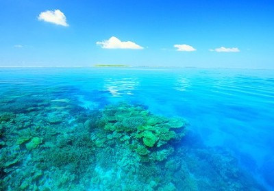 文字控帶圖說(shuō)說(shuō)6