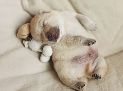 搞笑說說帶圖片1