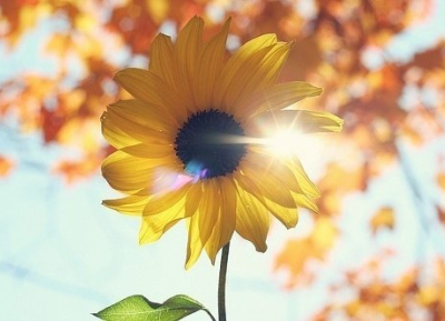 QQ空間圖片說(shuō)說(shuō)4