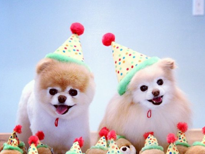 QQ空間圖片說(shuō)說(shuō)5