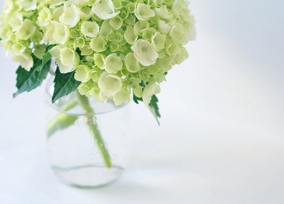 QQ空間圖片說(shuō)說(shuō)7