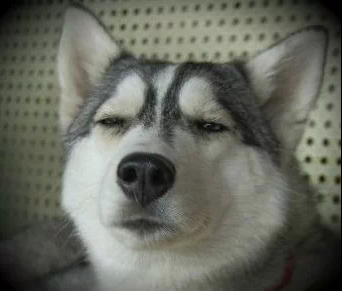 2014說說帶圖片2