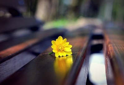 配圖片的扣扣說說1