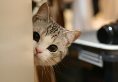 帶圖片的空間說說6