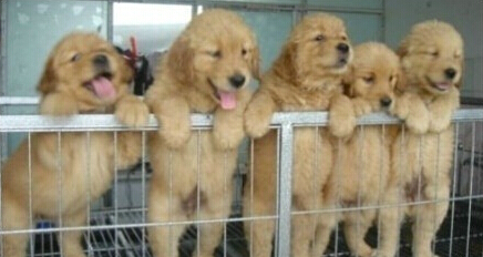 帶圖片的空間說說3