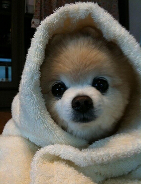 超拽說(shuō)說(shuō)帶圖片2