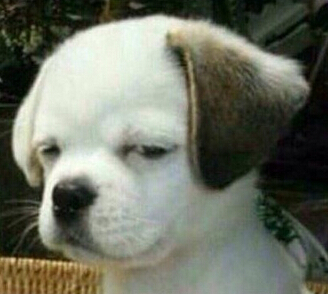 笑死人的說說加圖片：老師說我是攪屎棍，那么我同學是什么？1