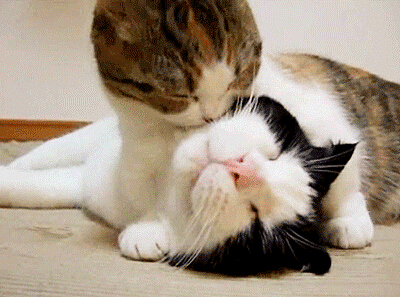 扣扣說說帶圖片1