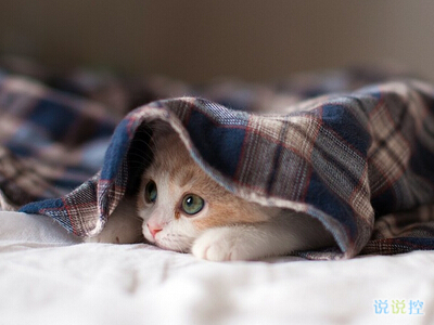 內(nèi)涵說(shuō)說(shuō)帶圖片：看過(guò)了你喜歡的人，才知道我是敗給了你的品位