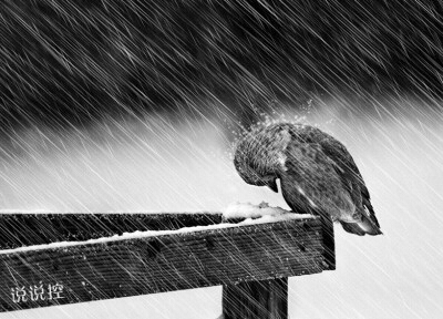 堅強(qiáng)的說說帶圖片5