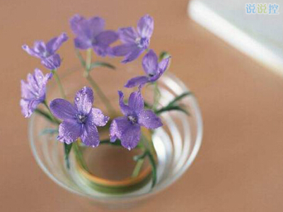 QQ個性說說帶圖片2