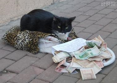 QQ個性說說帶圖片4