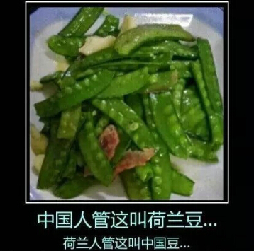 QQ逗比說說帶圖片4