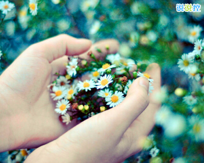 傷感英文說說帶圖片2