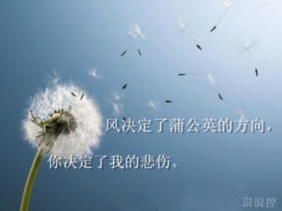 帶字說說圖片大全2