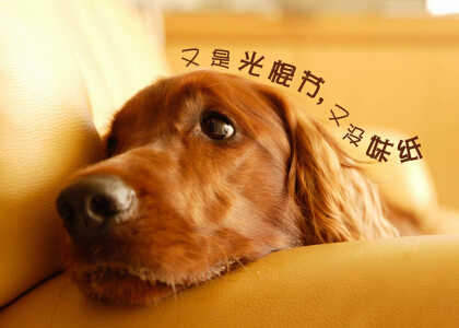 光棍節(jié)說說帶圖片，光棍節(jié)圖片說說大全