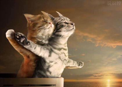 搞笑愛情說說心情短語，搞笑情感說說大全