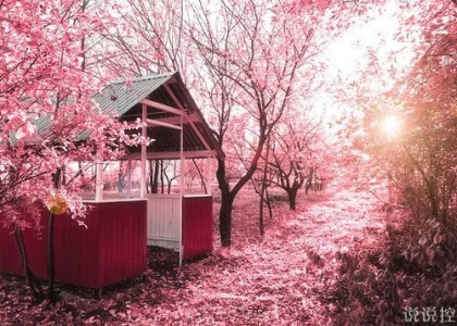 微信說說帶圖片7 微信說說帶圖片7